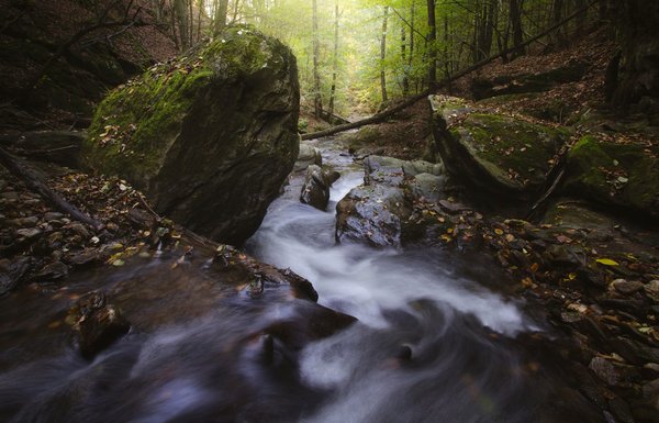 Deliciously fast: 10 quick dishes to satisfy your cravings